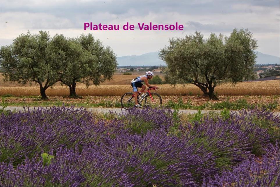 Coeur De Ville, T2, Rue Pietonne, Digne Les Bains Dış mekan fotoğraf